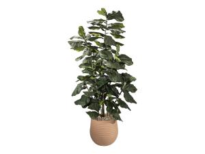 Lagos Tree, Large